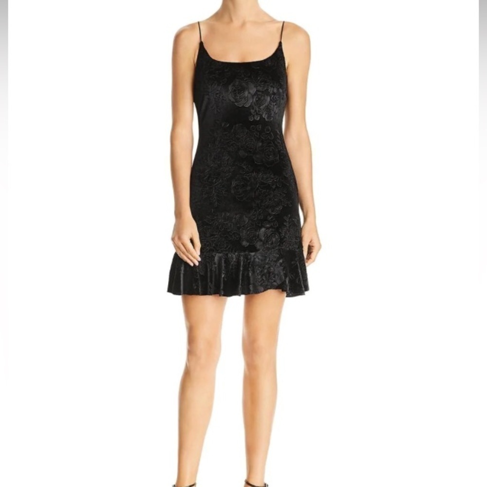 NWT AQUA velvet floral flounce dress